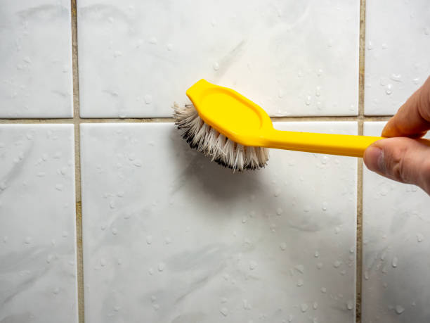 Best Same-Day Mold Removal  in Oatfield, OR